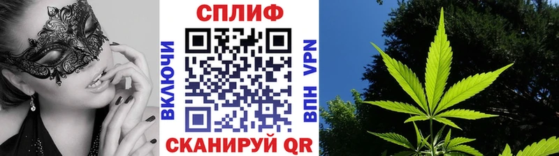 Канабис OG Kush Верхняя Салда